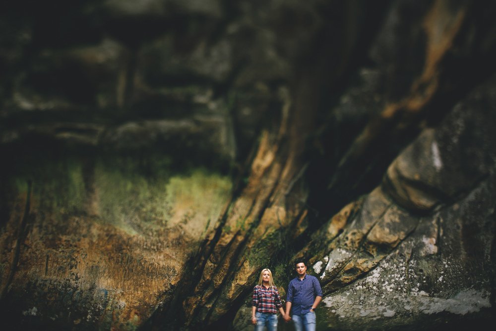 Betanden: The Secret Forces of Human Behavior